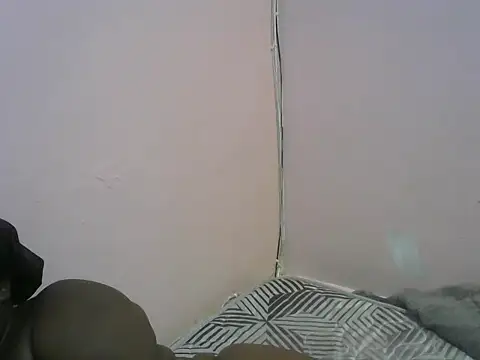 Wild_Ass- webcam