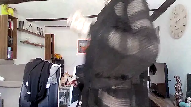 BlueVelvetBat webcam