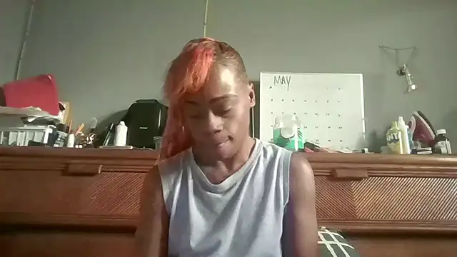 Tishrella6 webcam