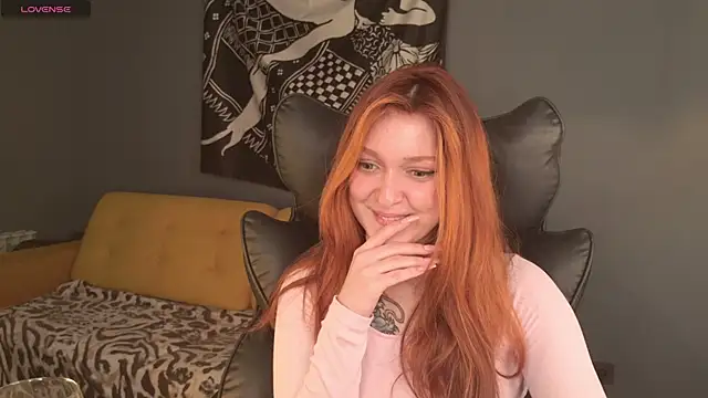 BellaSink webcam