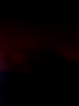 bela14 webcam