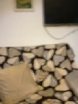 Carola-Ross webcam