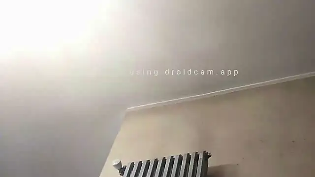 realwebcam webcam