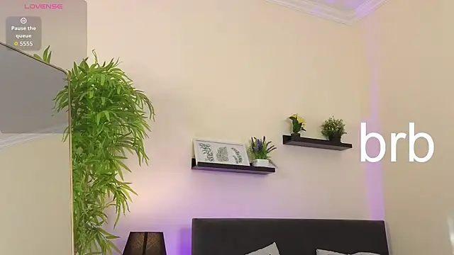 Sue_Sanders webcam
