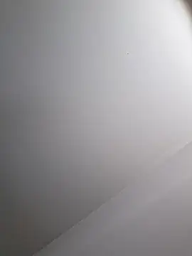 Slydog1010 webcam