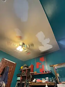 charactrzero webcam