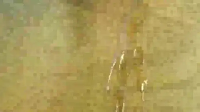 bigwurn webcam
