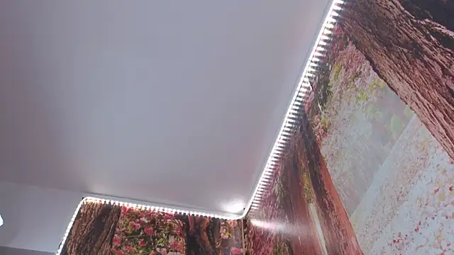 Bush_girl webcam