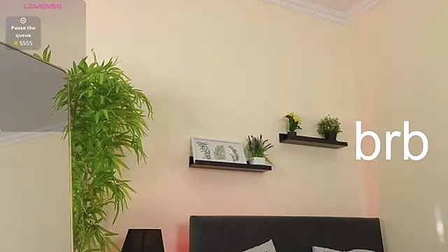 Sue_Sanders webcam