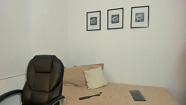 Sophiesoft_ webcam
