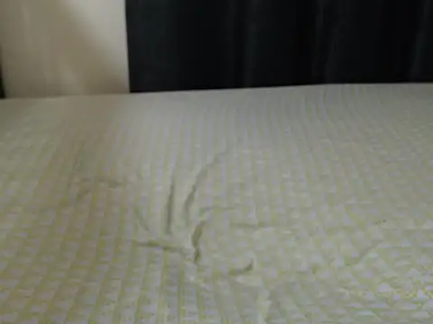 Gweneve webcam