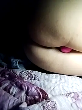 -sansan- webcam