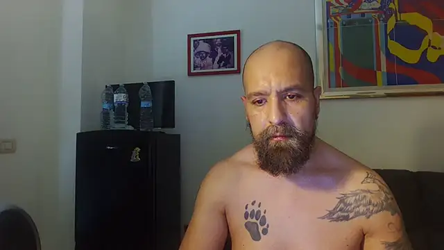 AMIRDIB2025 webcam