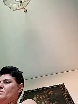 Sony28v webcam