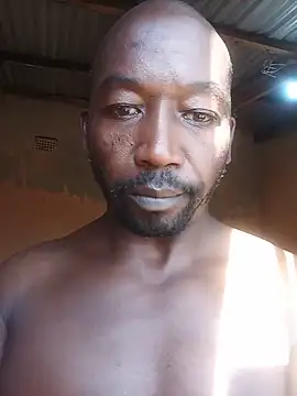WiseDi webcam