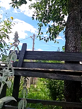 IsabelleCraft webcam