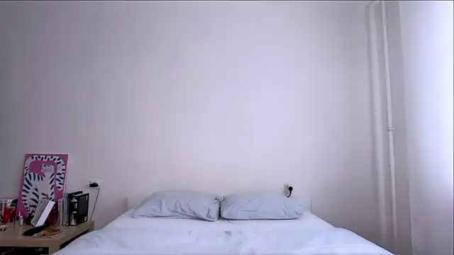 Milky___Way webcam