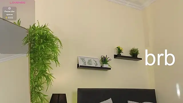 Sue_Sanders webcam