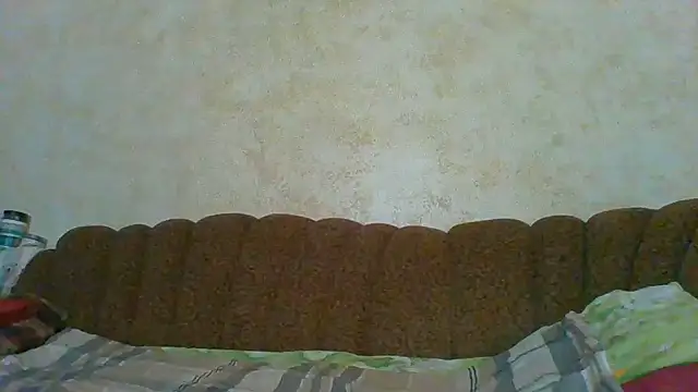 MilaSky5303 webcam