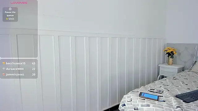 EvaMark_ webcam