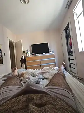 MysterBearMG webcam