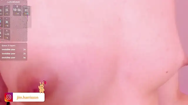Jin-harrison webcam