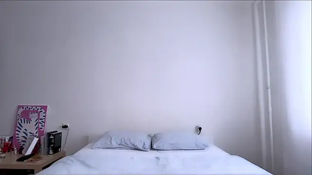 Milky___Way webcam