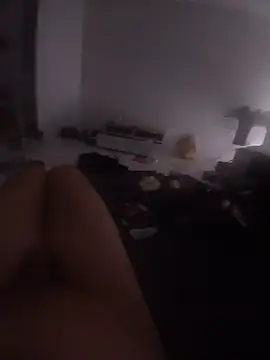 Ylrrr webcam