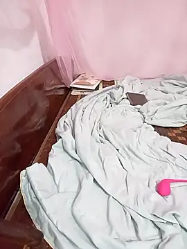Phoebe-e webcam