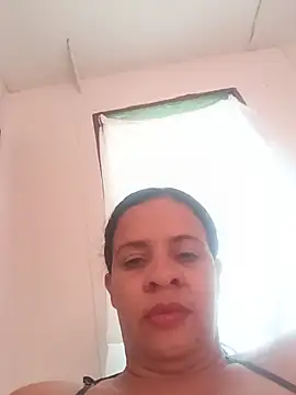 lapatronav2026 webcam