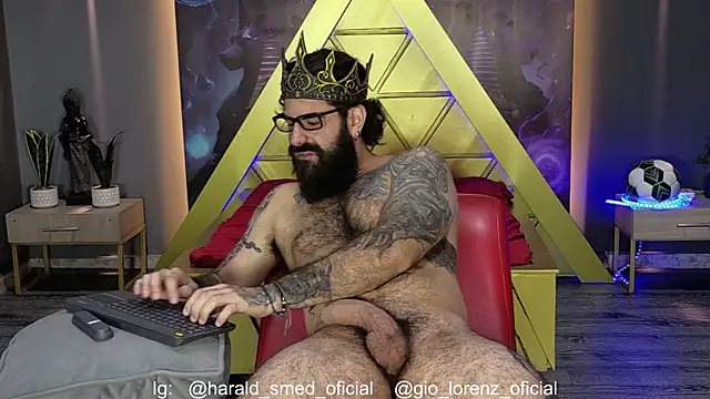 Haraldsmed webcam