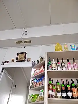 ViktoriaToytor55 webcam