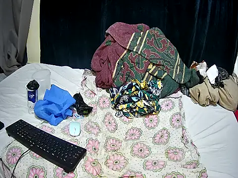 annex_b webcam