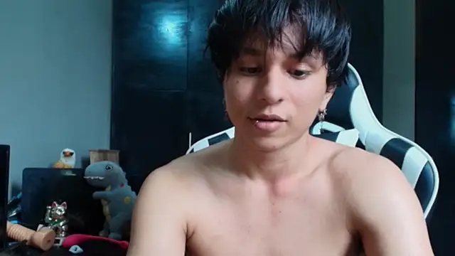raikougame webcam