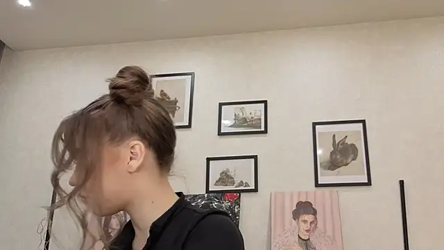 dolly_ll webcam