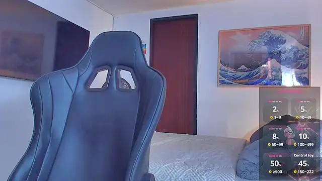 RJBarto webcam