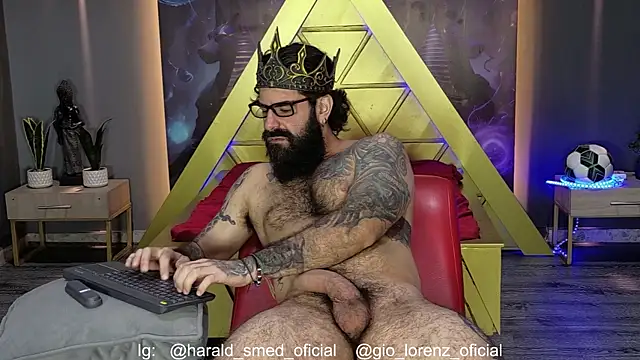 Haraldsmed webcam