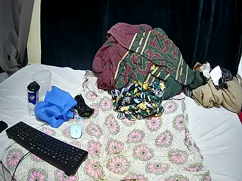 annex_b webcam