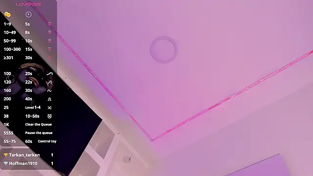 HaslyFox webcam