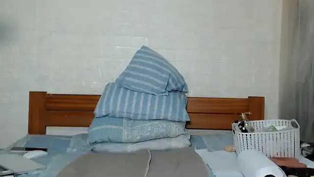 awild_kitten