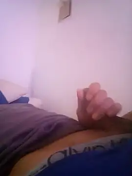 wa379 webcam