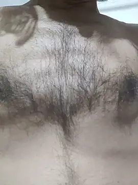 india_cobra webcam