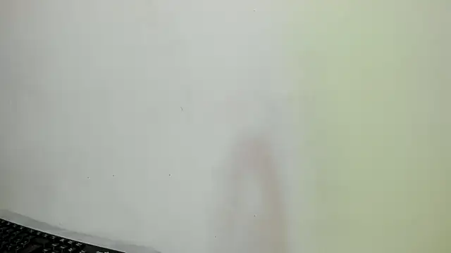 Norki_ webcam