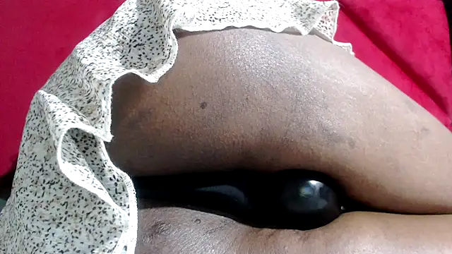 Bracylia webcam