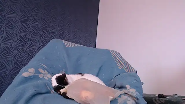 Freyja_eter webcam