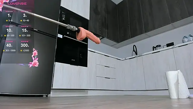 mikio_san webcam