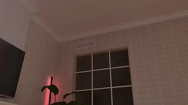 WelliCaren webcam