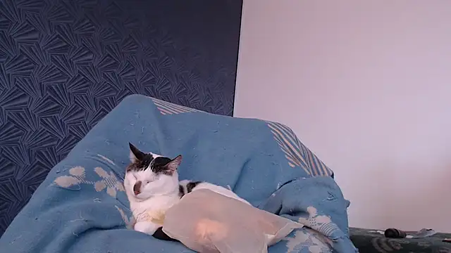 Freyja_eter webcam