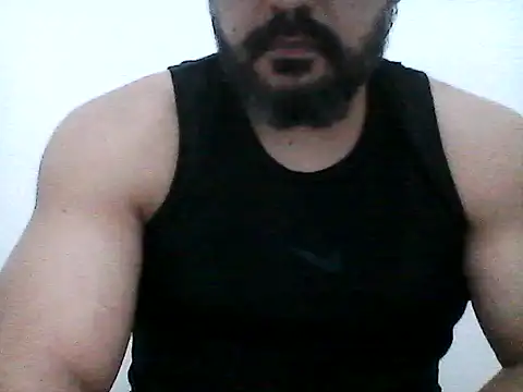 stallony webcam
