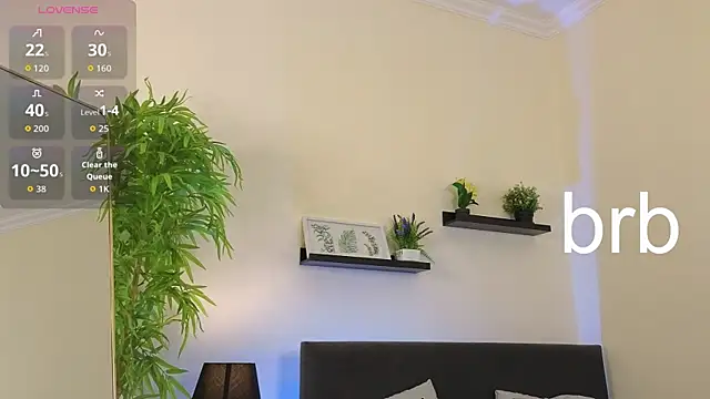 Sue_Sanders webcam